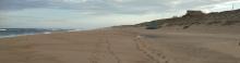 plage de Vieux-Boucau